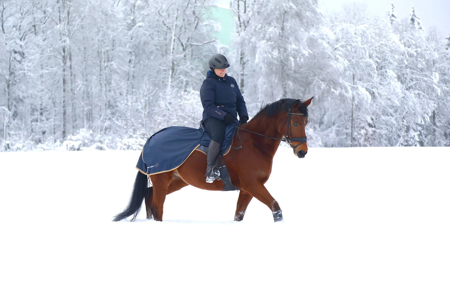 Finer Equine Navy Winter Weight Waterproof Ride - On Exercise Sheet